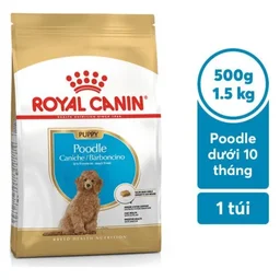 Royal Canin Poodle Puppy